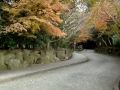 鎌倉文学館の洋館と初冬の紅葉