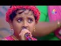 താരക പെണ്ണാളെ|tharaka pennale by vaiga|flowerstv|kochin pandavas|