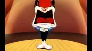 Animaniacs El Gran Wakkorotti El Maestro Y Su Musica 1994