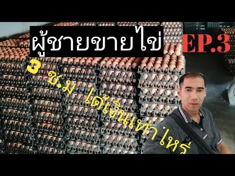 ขายส่งไข่ไก่,ไข่เป็ด ต่างอำเภอ