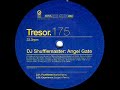 Dj. Shufflemaster - 2.02. Experience (Surgeon Remix) (Angel Gate EP)