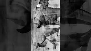 Iris - Track 12 On Love Under Snowfall