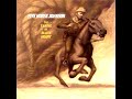 Five Horse Johnson -  The Job
