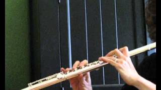 Muramatsu Gxiii Heavy Wall Low Register Demo - Used Flutes Sold On Consignment