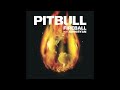 Pitbull feat. John Ryan - Fireball (Audio)