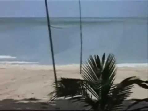 First images of the Tsunami in Hawaii - 2010