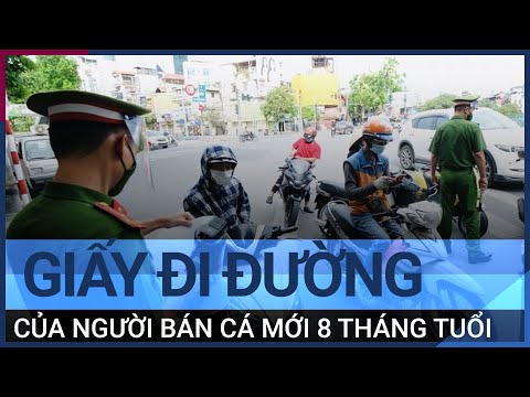 Phát hiện giấy đi đường của người bán cá ở Hà Nội mới chỉ "8 tháng tuổi"