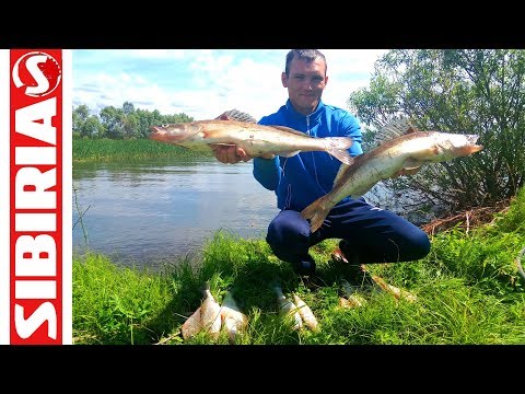 ловля на джиг с лодки видео 2016 года ловля на джиг с лодки видео 2016 года