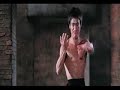 Bruce Lee Vs Chuck Norris La Pelea Del Siglo images Bruce Lee Vs Chuck Norris La Pelea Del Siglo