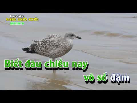 KARAOKE - MÊ SỐ ĐỀ - (ngựa ô bắc)