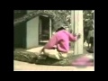 increible serpiente se come a un diputado