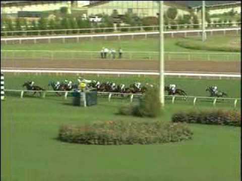 Ranker Video