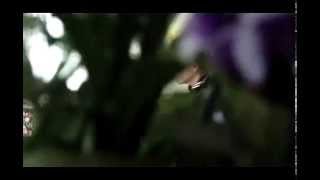 SouQy - aku rela officil clip