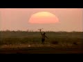 Empire Of The Sun Theatrical Movie Trailer (1987)