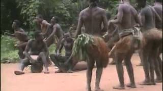 Cameroon Baka Pygmies Traditional Dance