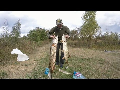 ловля щуки на самаре видео ловля щуки на самаре видео