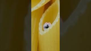 Screaming Blue Thing Compilation