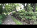上野公園清水観音堂の紫陽花