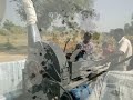 rajasthan goat farming