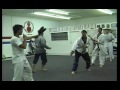 Видео TaeKwonDo Loren Avedon, Andre Lima and JJ Perry Training (1991)