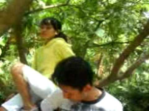 Viera bersamamu