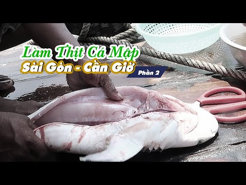 Ngư Dân Sở Đáy Mần Thịt Cá Mập Nhậu Trên Ghe l Sông Nước Sài Gòn Cần Giờ Phần 2