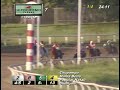 7ma Carrera Domingo 15 De Enero 2017 Hpr images 7ma Carrera Domingo 15 De Enero 2017 Hpr