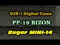 Bizon