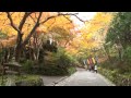 京都 赤山禅院の紅葉