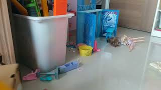 Wrath Cobra C7 Beybladburst