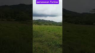 Sore....kampung Tinambak 09102025