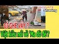 GÌ GH,Ê VẬY , Việt kiều nói về 'M,a đờ đê'? - Donate Sharing