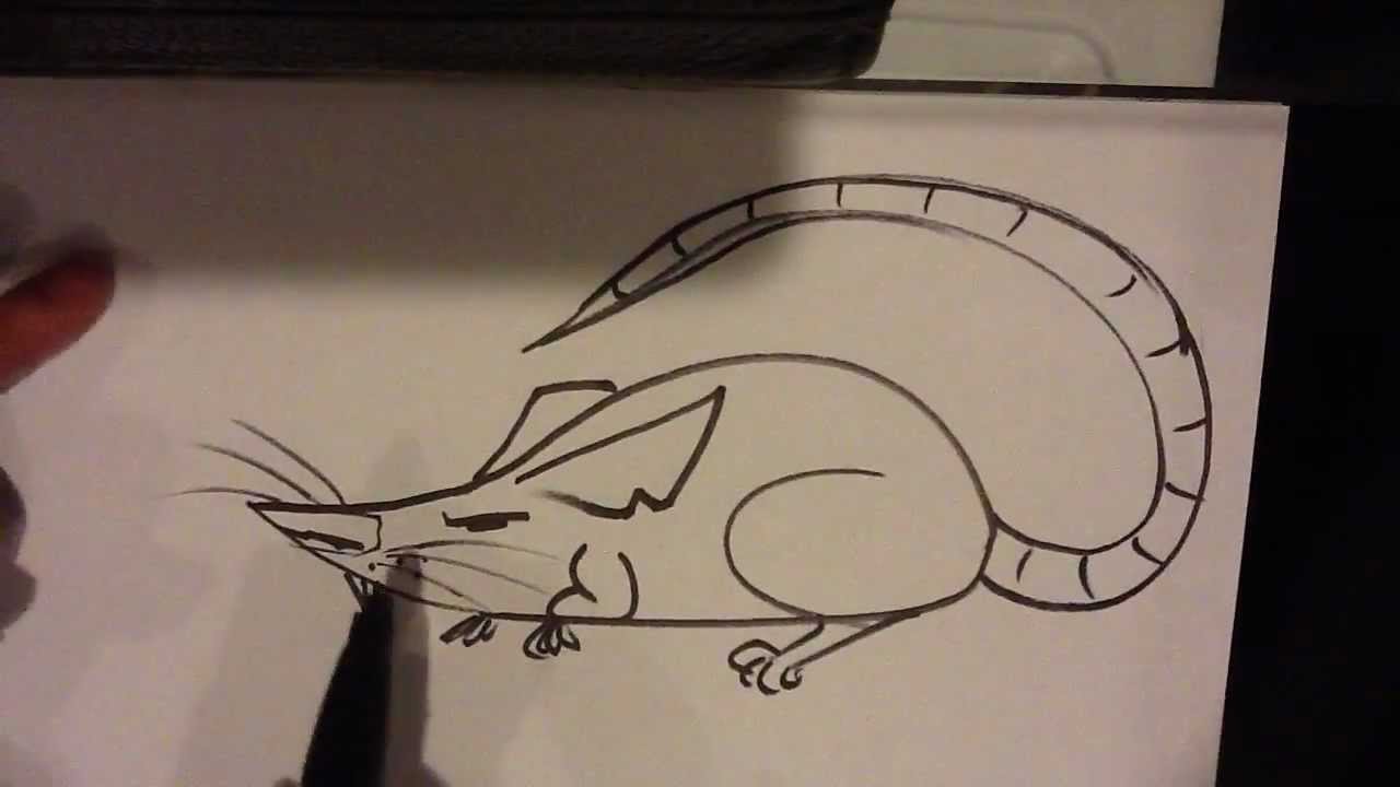 How to Draw a Rat - Easy Drawings - YouTube