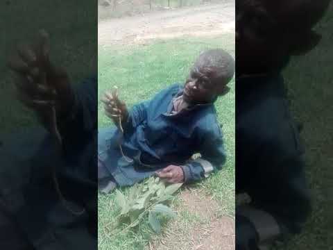 Mthiya shandu kaNdaba Mthiya shandu kaNdaba #1
