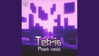 Tetris Phonk Version, Orpnity V1