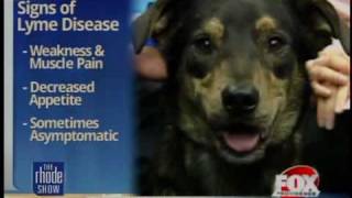Pet Care: Ticks & Lyme disease