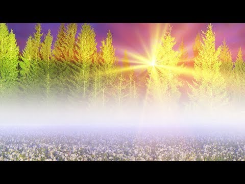 Download Peaceful Music, Relaxing Music, Instrumental Music "Nature's Peace' by Tim Janis Download Peaceful Music, Relaxing Music, Instrumental Music "Nature's Peace' by Tim Janis
