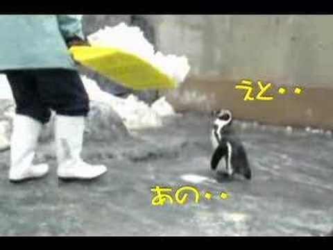 きのどくなペンギン・２