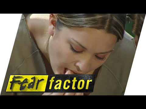 women of fear factor nude №40617 women of fear factor nude № 40616