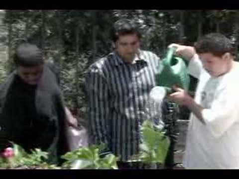 Mesothelioma dictionary definition mesothelioma business annoying