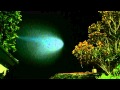 Just now Sensation unknown flying object or comet over Los An...