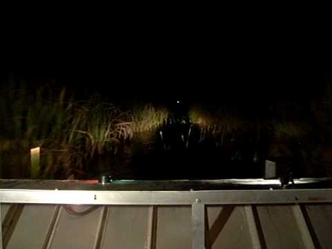 Gator Nights- Night Airboat