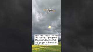 Serve Robotics And Wing Aviation Partner For Robot-To-Drone Deliveries