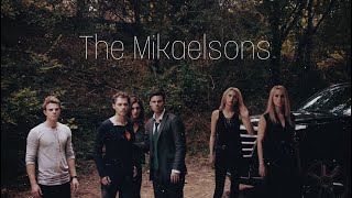 The Mikaelsons | Blood In The Water