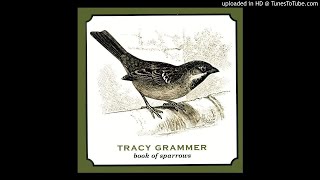 Watch Tracy Grammer The Waking Hour video