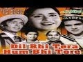 DIL BHI TERE HUM BHI.