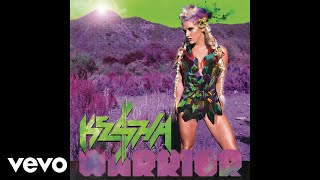 Watch Kesha Warrior video
