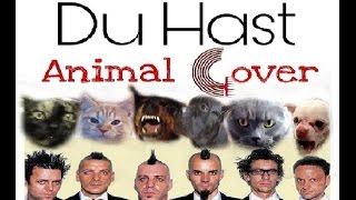 Watch Rammstein Animal video