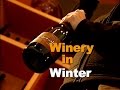 Winter at Penner-Ash Wine Cellars: A Season of Preparation and Reflection