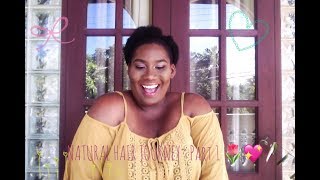 TRANSITIONING & BIG CHOP || Natural Hair Journey